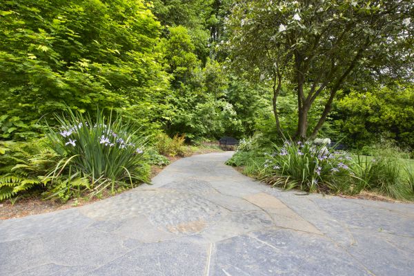 Stone Hardscape Service in Providence