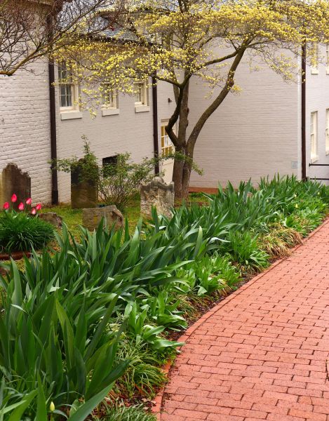 Brick Flatwork Repair in Providence